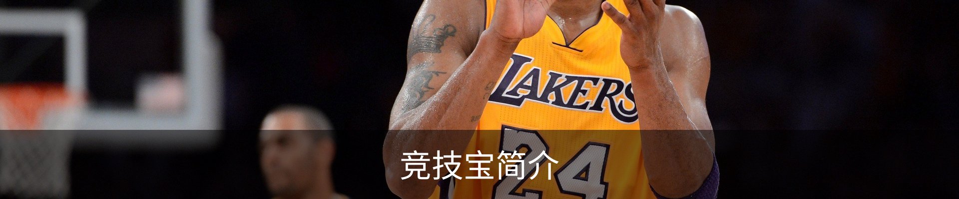 竞技宝简介